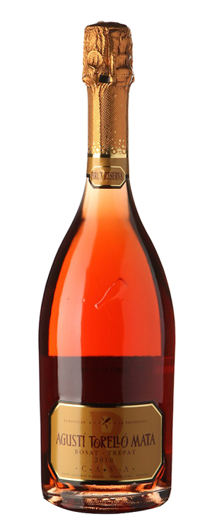 Agustí Torelló Rosado