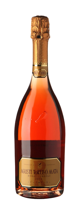 Agustí Torelló Rosado