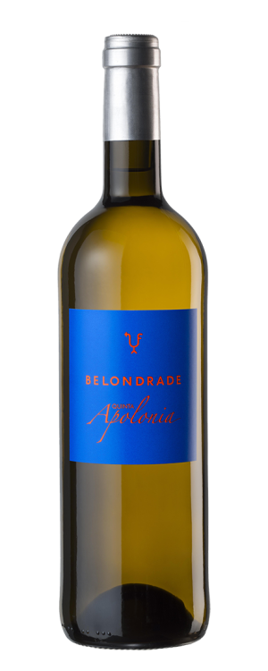 Belondrade Quinta Apolonia