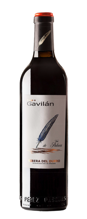 Cepa Gavilán Crianza