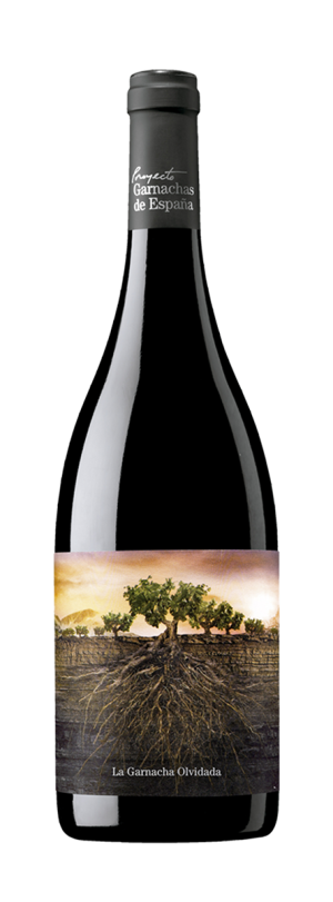 Selección especial Garnachas - Imagen 5