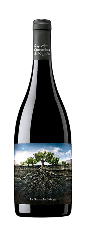 Garnacha Salvaje del Moncayo