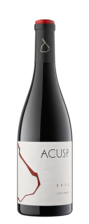 Castell d'encus Acusp