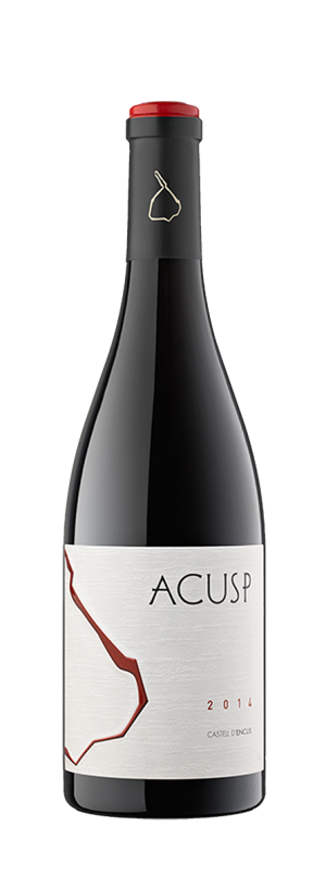 Castell d'encus Acusp