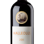 Malleolus Magnum