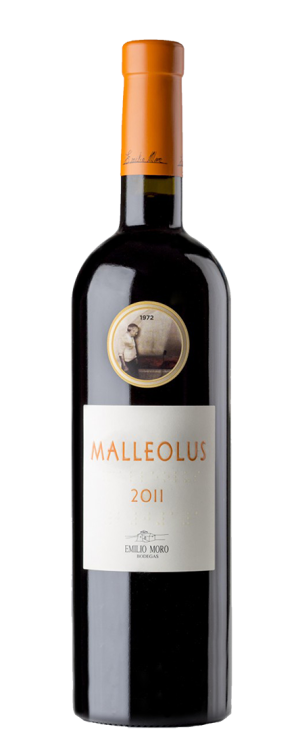 Malleolus Magnum