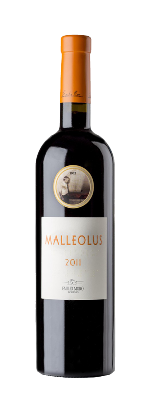 Ribera del Duero special selection - Image 4