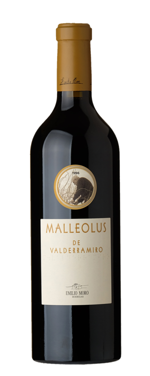 Malleolus Valderramiro