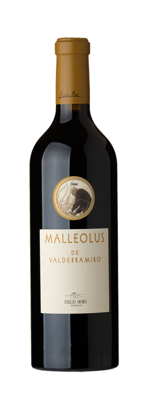 Malleolus Valderramiro