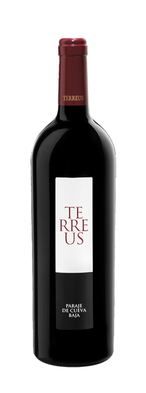 Terreus