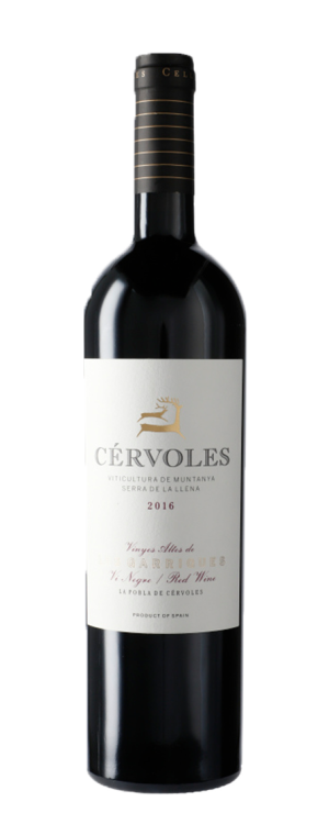 Cérvoles Negre
