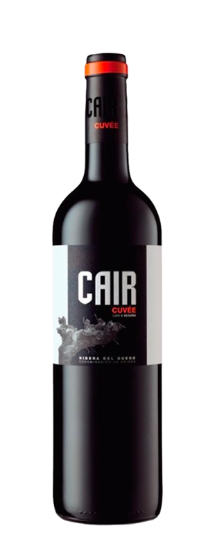 Selección especial Ribera del Duero - Imagen 6