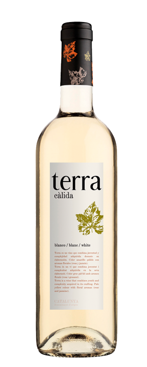 Terra Calida Blanco