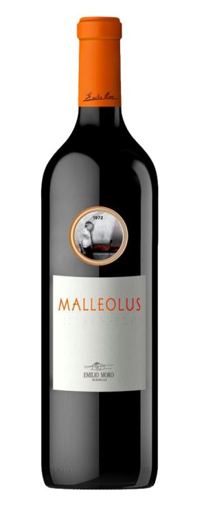 Malleolus