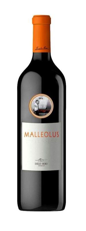 Malleolus