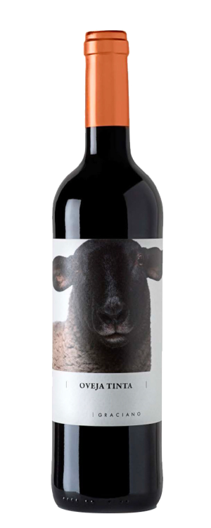 Oveja Graciano