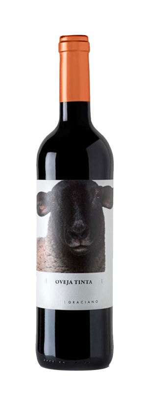Oveja Graciano