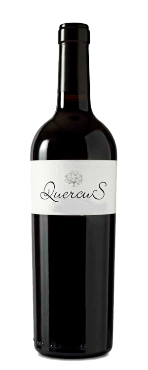 Quercus