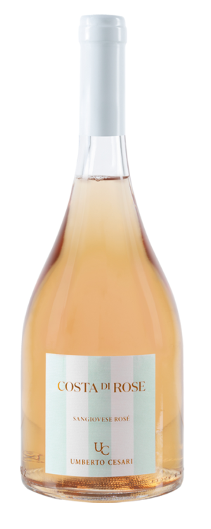 Costa di rose