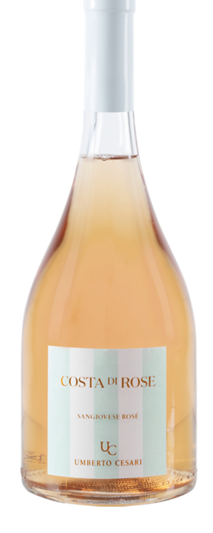 Costa di rose jeroboam