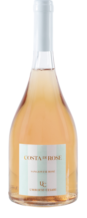 Costa di rose magnum