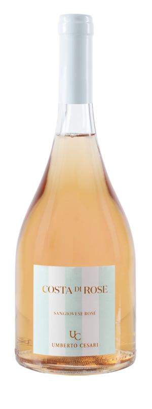 Costa di rose magnum