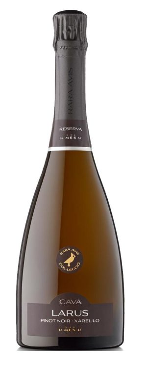 Rara avis larus brut nature