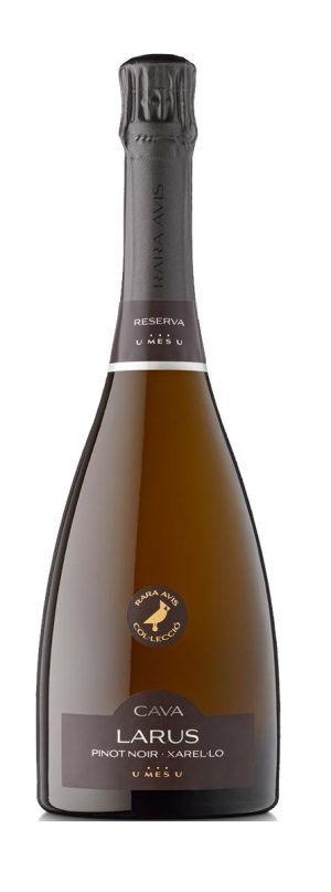 Rara avis larus brut nature